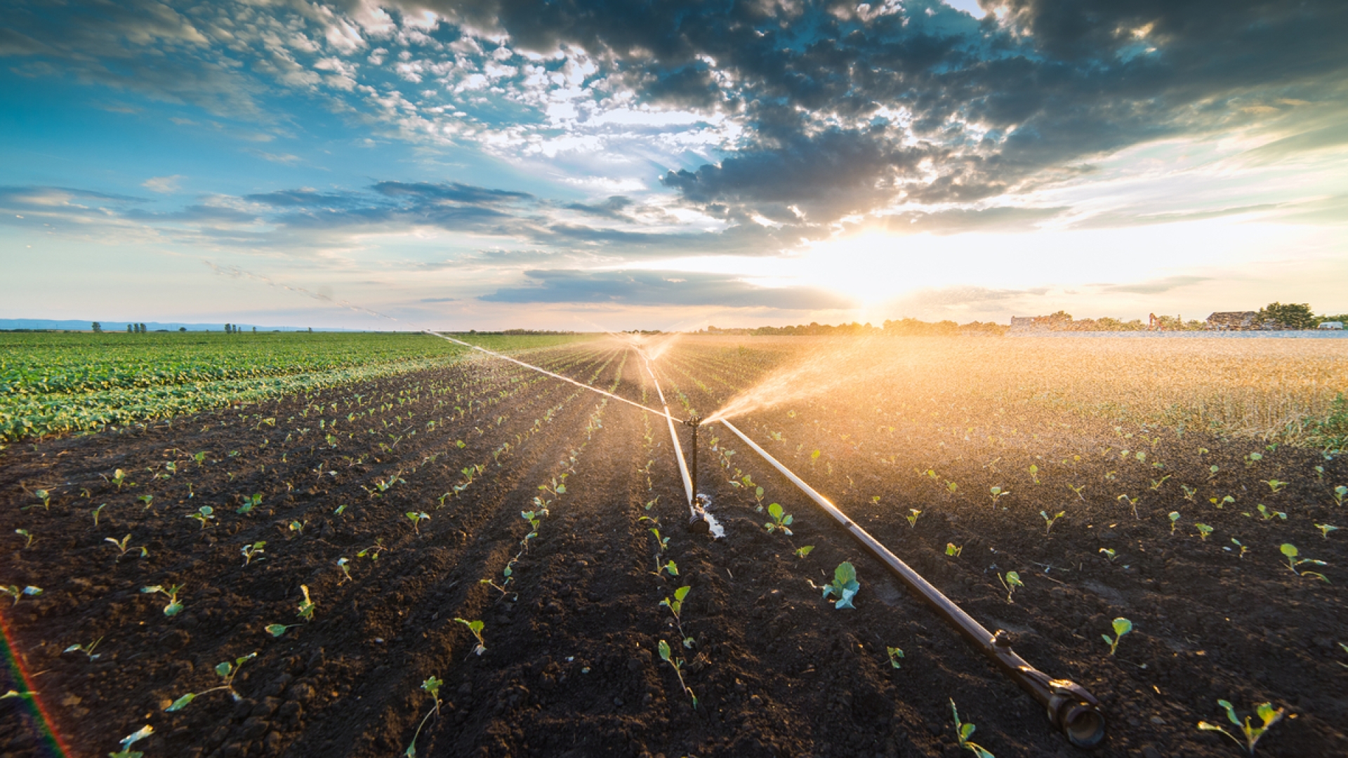 Biodiesel y el X15: energía baja en carbono para 2027 y más allá